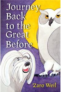 Journey Back to the Great Before