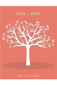 Three Year Planner 2020-2022