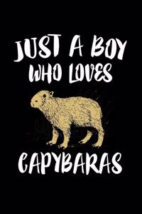 Just A Boy Who Loves Capybaras