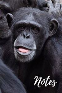 Chimpanzee Notebook
