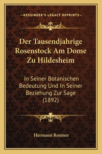 Tausendjahrige Rosenstock Am Dome Zu Hildesheim