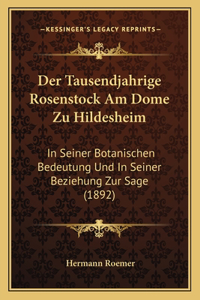 Tausendjahrige Rosenstock Am Dome Zu Hildesheim