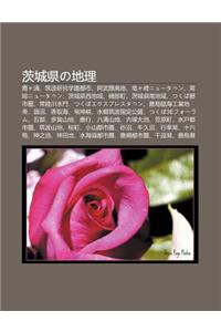 CI Cheng Xianno de L