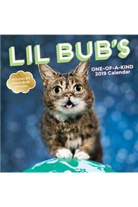 Lil Bub 2019 Wall Calendar