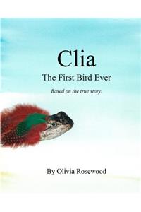 Clia, the First Bird Ever