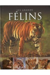 Les Grands Felins