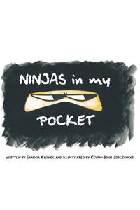 Ninjas in My Pocket