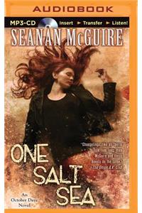 One Salt Sea