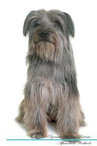 Pyrenean Shepherd Affirmations Workbook Pyrenean Shepherd Presents: Positive and Loving Affirmations Workbook. Includes: Mentoring Questions, Guidance, Supporting You.