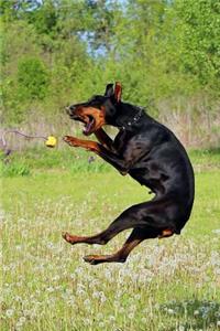 Jumping Doberman Dog Journal