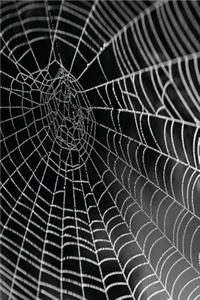 Spider Web