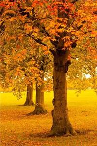 Beautiful Autumn Trees in the Park Journal