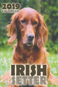 Irish Setter 2019 Calendar (UK Edition)