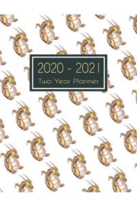 2020-2021 Two Year Planner