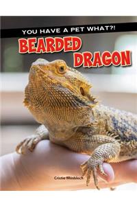 Bearded Dragon