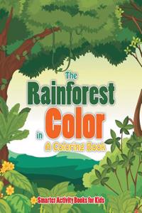 Rainforest in Color