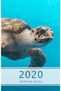 2020 Asthma diary