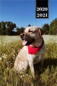 Labrador Golden Retriever Dog Calendar Week Planner 2020 / 2021 - Wild Meadow