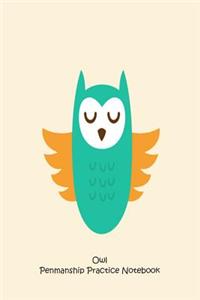 Owl Penmanship Practice Notebook