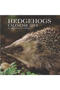 Hedgehogs Calendar 2019