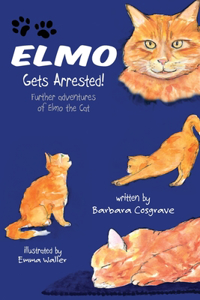 Elmo Gets Arrested!
