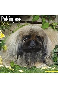Pekingese Calendar 2018
