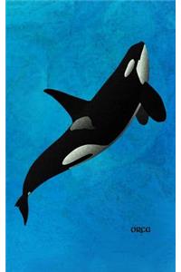 Orca
