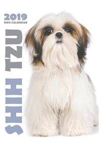 Shih Tzu 2019 Dog Calendar