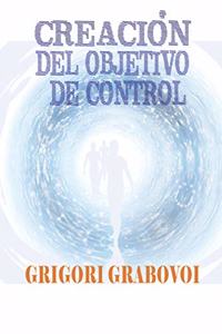 Creación del Objetivo de Control