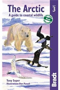 Arctic: A Guide to Coastal Wildlife