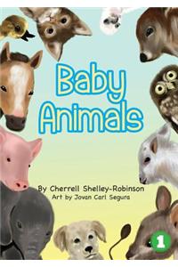 Baby Animals