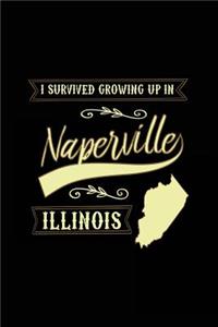 I Survived Growing Up In Naperville Illinois