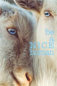 Be a Nice Human