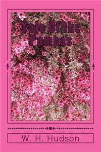 Tale Of the Pampas