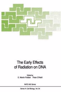The Early Effects of Radiation on Deoxyribonucleic Acid