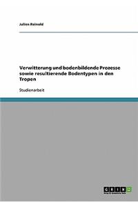 Verwitterung und bodenbildende Prozesse sowie resultierende Bodentypen in den Tropen