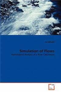 Simulation of Flows