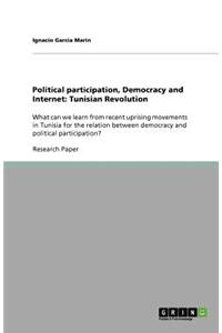 Political participation, Democracy and Internet
