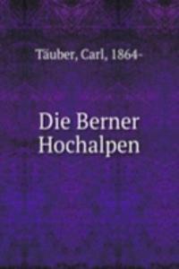 Die Berner Hochalpen