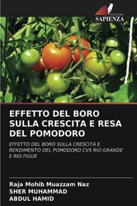 Effetto del Boro Sulla Crescita E Resa del Pomodoro