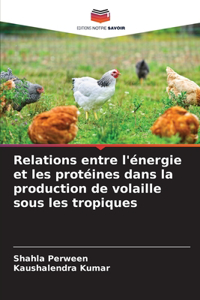 Relations entre l'énergie et les protéines dans la production de volaille sous les tropiques