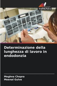 Determinazione della lunghezza di lavoro in endodonzia
