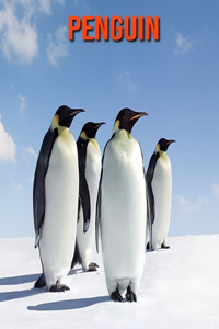 Penguin: Amazing Facts about Penguin