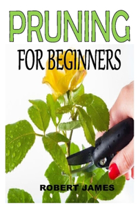 Pruning for Beginners