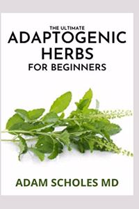 Ultimate Adaptogenic Herbs for Beginners