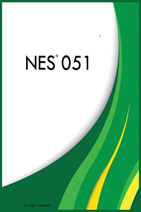 NES 051