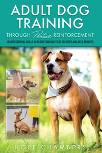 Adult Dog Training Through Positive Reinforcement