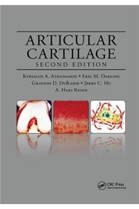 Articular Cartilage