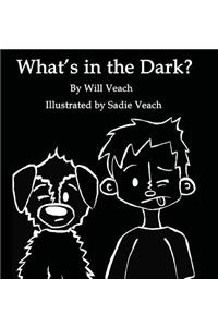 What's in the Dark?