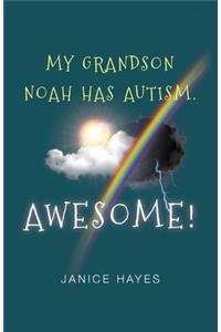 My Grandson Noah has autism. Awesome!